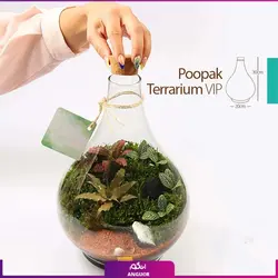 خرید آنلاین تراریوم مدل پوپک vip | گلفروشی آنلاین انگور