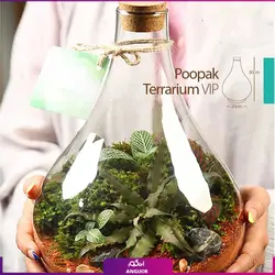 خرید آنلاین تراریوم مدل پوپک vip | گلفروشی آنلاین انگور