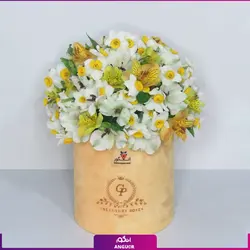 خرید آنلاین باکس گل نرگس| سفارش آنلاین باکس گل نرگس| خرید آنلاین