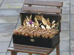 سفارش باکس گل رز طلایی 40 شاخه ای | باکس گل رز لوکس انگور