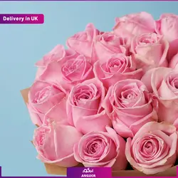 گلدان سنبل بهاری رسید (ارسال گل به انگلستان) | انگور