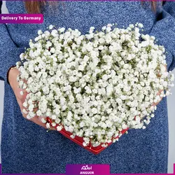 دسته گل 20 شاخه رز با شمع معطر (ارسال گل به آلمان) | انگور