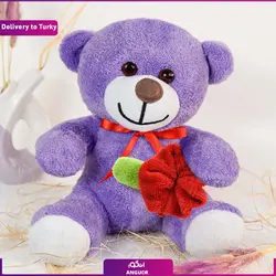 عروسک (ارسال گل به ترکیه) | انگور