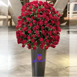 جعبه گل رز - خرید باکس گل رز با قیمت ویژه برای هدیه تمام رنگ ها سفارش از انگور