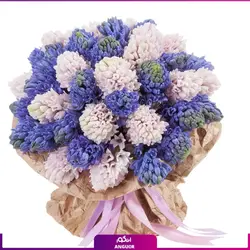 سفارش اینترنتی گلدان بزرگ سنبل طبیعی از گل فروشی آنلاین انگور