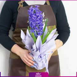 خرید آنلاین گلدان سنبل طبیعی نوروزی از سایت گلفروشی انگور