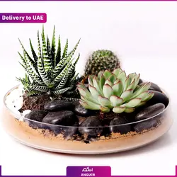 دسته گل رز و آفتابگردان (دبی و امارات)