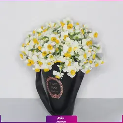 خرید اینترنتی باکس گل نرگس زیبا (با ارسال به سراسر ایران با قیمت های استثنایی)