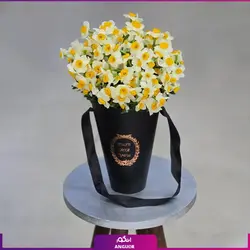 خرید اینترنتی باکس گل نرگس زیبا (با ارسال به سراسر ایران با قیمت های استثنایی)