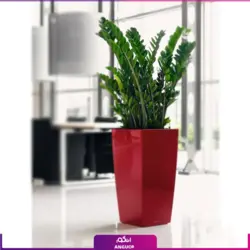 گلدان فایبرگلاس غول پیکر زاموفیلیا (170 تا 190 سانتی)