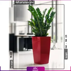 گلدان فایبرگلاس غول پیکر زاموفیلیا (170 تا 190 سانتی)