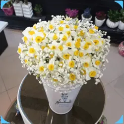 خرید انلاین سطل گل نرگس با تزیین گل عروس از گل فروشی آنلاین انگور
