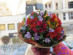 خرید دسته گل آلسترومریا با قیمت مناسب برای مناسبت های دوستانه| انگور