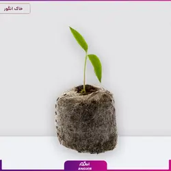 حشره کش ایندوکساکارب ماهر شیمی | Maher Chemical