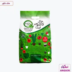 خاک کاکتوس و ساکولنت گیلدا 12 لیتری | Gilda