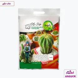 خاک کاکتوس و ساکولنت گیلدا 4 لیتری | Gilda