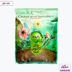 خاک کاکتوس و ساکولنت گیلدا 1 لیتری | Gilda