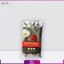 خاک کاکتوس | سورین خاک