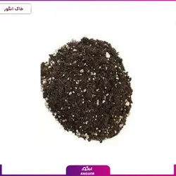 خاک سبزی کاری گلفام 4 لیتری | گلفام | انگور