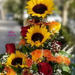 خرید آنلاین باکس گل پاییز تن طلایی| ارسال رایگان| گل و گیاه انگور