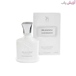 ​عطر زنانه و مردانه برندینی مدل Silver Mountain حجم 33 میل