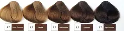 رنگ مو رف , REF سری Chocolates
