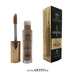 کانسیلر مینرال آیز پودر تاچ ماردینی | فروش ویژه 🔥 | آریپو