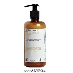 ماسک تراپی HS5 بایولاینز BOTOX MASK FOR DEAD HAIR