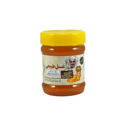 عسل رملک طبیعی خام فارس - 470 گرم