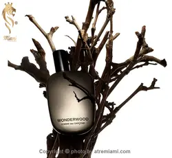 عطر ادکلن کومه دس گارسنز واندر وود-Comme des Garcons Wonderwood