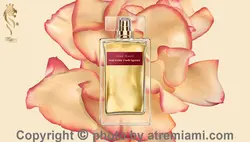 عطر ادکلن نارسیس رودریگز رز ماسک-Narciso Rodriguez Rose Musc