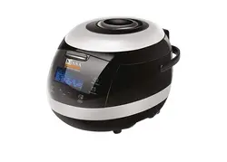 پلوپز دیجتالی ناسا الکتریک مدل NS -3080