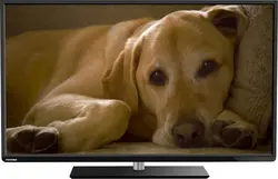 مشخصات، قیمت و خرید تلویزیون توشیبا 48L1443