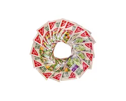 پودر سالاد سبزیجات معطر ۵ عدد ادکا EDEKA-DILL KRAUTER