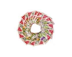 پودر سالاد سبزیجات معطر ۵ عدد ادکا EDEKA-PAPRIKA KRAUTER