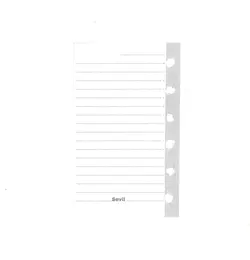 برگه یدک دفترچه یادداشت کلاسوری 6 حلقه سویل بسته 100 عددی