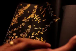 جوهر خوشنويسی وينزور Gold حجم 30 ميل