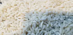 برنج سرلاشه هاشمی