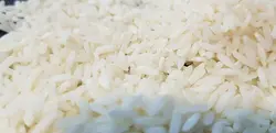 برنج سیاهدم