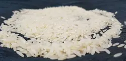 برنج طارم دوباره کشت