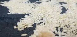 برنج عنبر بو اعلاء