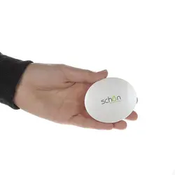 رژگونه چارمینگ شون