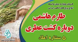 برنج کشت دوم پاییزه طارم عطری بینام 10کیلوگرم