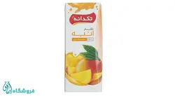 نکتار انبه تکدانه حجم 200 میلی لیتر