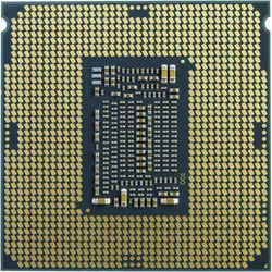 پردازنده Coffee Lake Pentium Gold G5620 اینتل