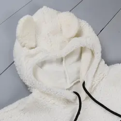 هودی تدی خرسی