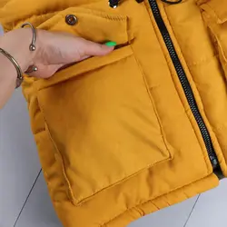 پافر دورو میکرو و مموری