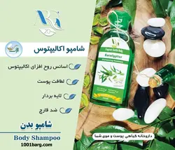 شامپو بدن اکالیپتوس ارگ 20