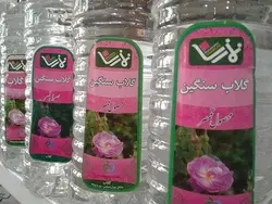 گلاب سنگین نمازی محصول قمصر کاشان