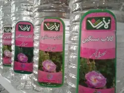 گلاب سنگین نمازی محصول قمصر کاشان